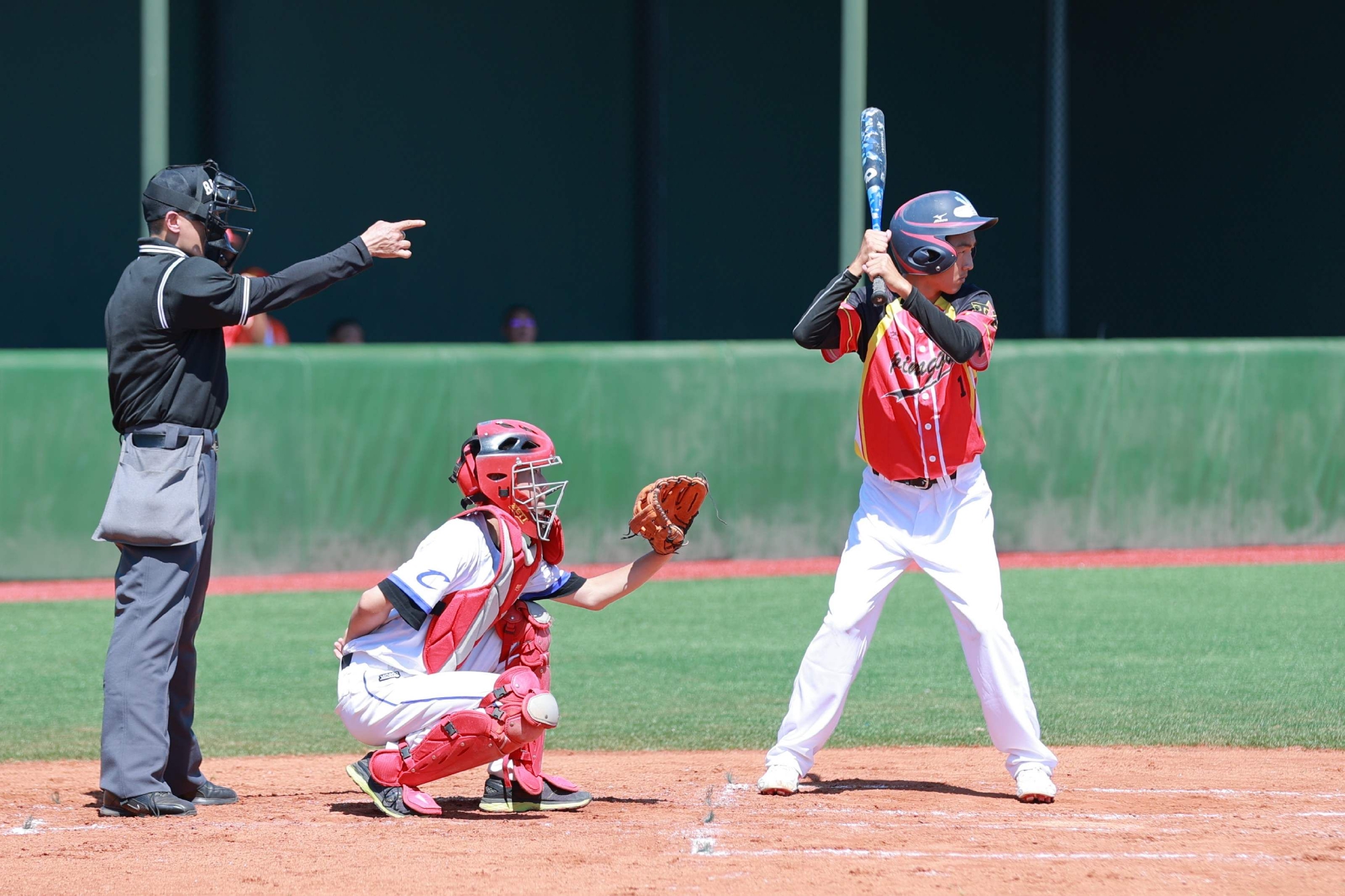 棒球赛事精彩瞬间盘点，年度回顾震撼登场的简单介绍