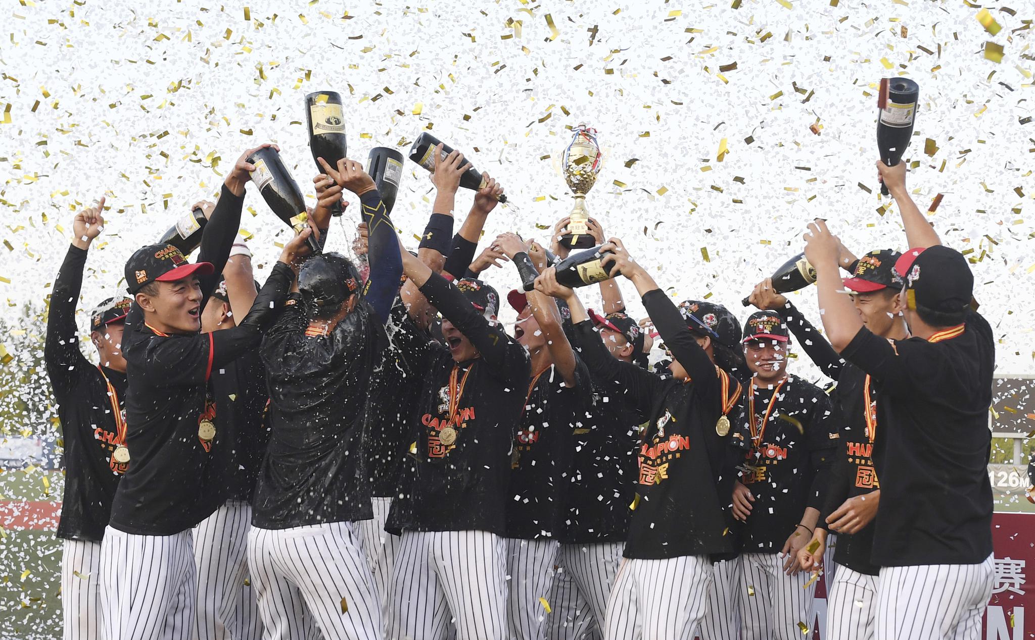 棒球赛事精彩瞬间盘点，年度回顾震撼登场的简单介绍