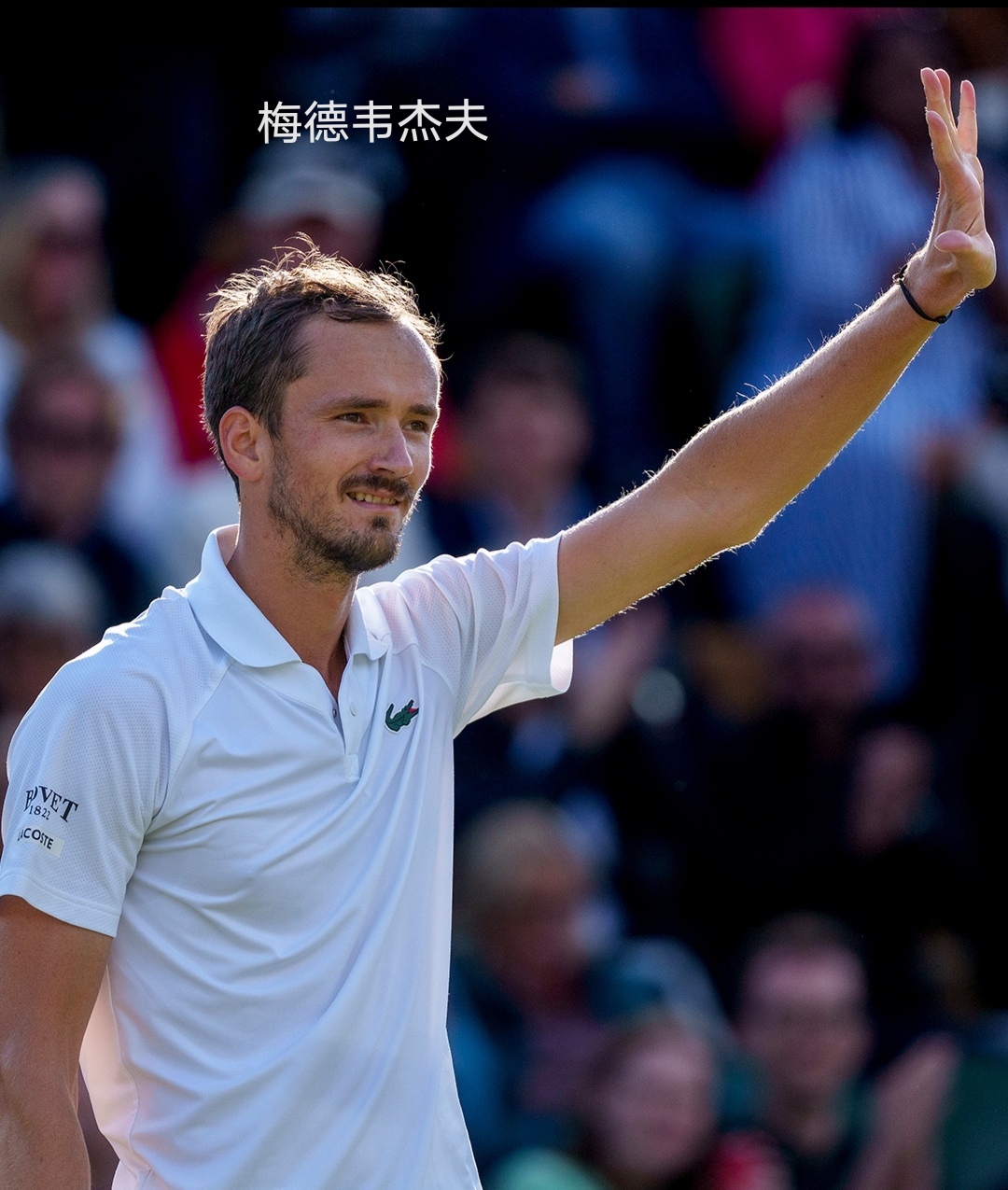 戴维斯杯鏖战拉沃尔杯,梅德韦杰夫刷新纪录的简单介绍 戴维斯杯鏖战拉沃尔杯,梅德韦杰夫刷新纪录的简单介绍