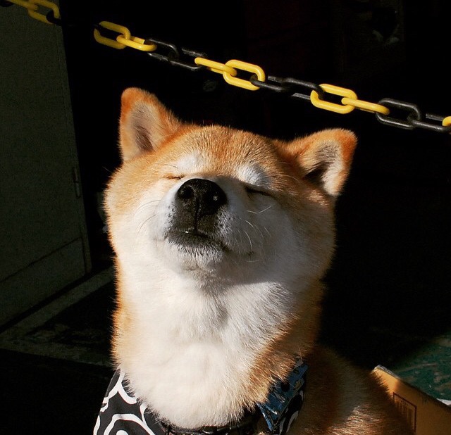 雷火电竞网站-爆冷之夜，黄蜂蛰伤76人，马克西化身关键先生