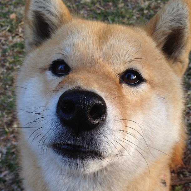 雷火电竞主播-胜负之外，当皇马绝杀与76人逆转在同一天发生