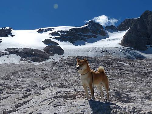伊布战神引擎，摩纳哥雨夜，如何被一道北欧惊雷接管