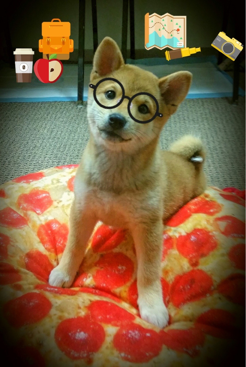 跨境烽火,当墨西哥灵动锋芒遇上多特蒙德钢铁洪流,德布劳内的手术刀何以切割比赛?