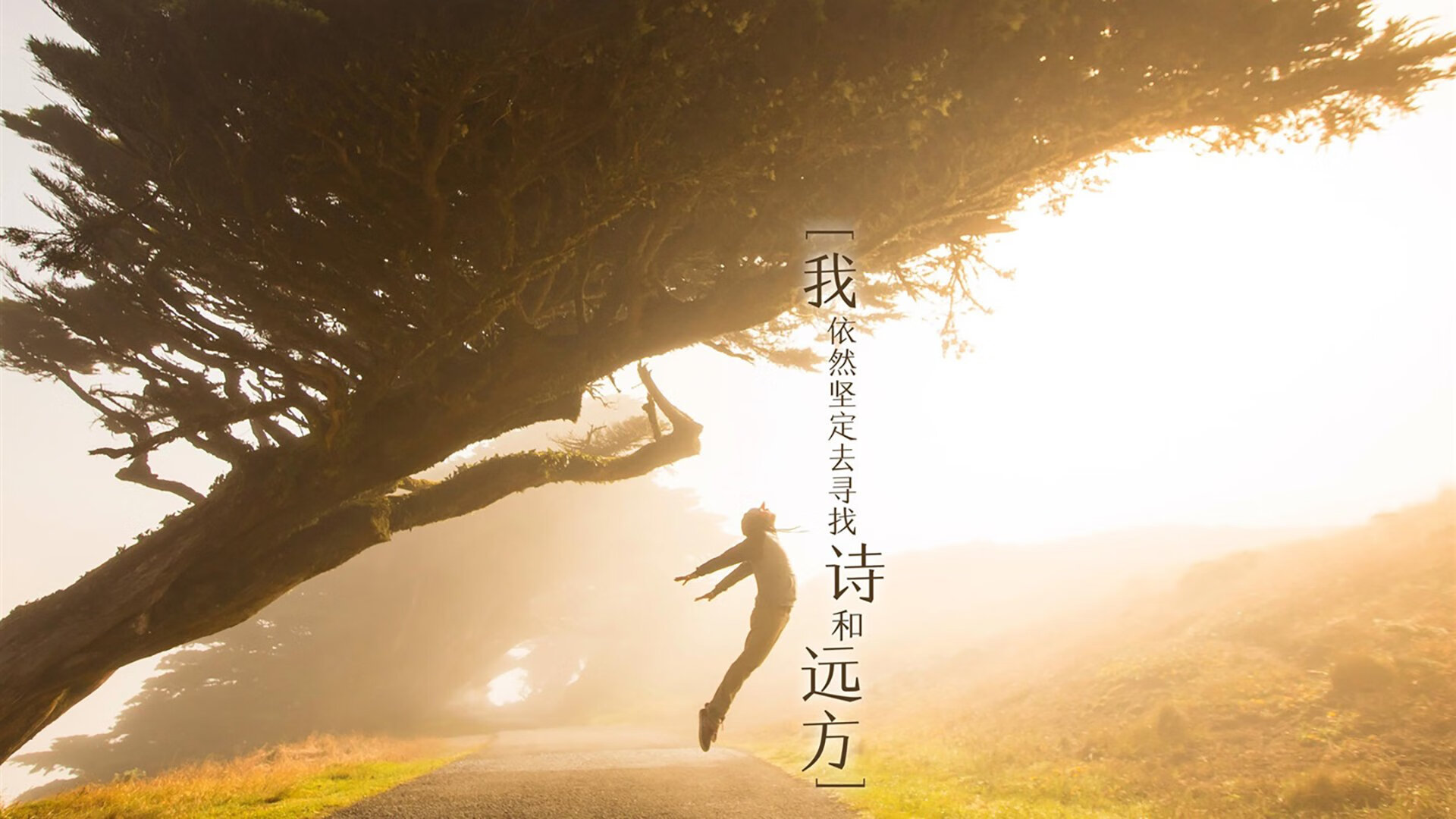 时代更迭!德里赫特奥运周期关键战接管比赛,马里在无声处完成王朝奠基