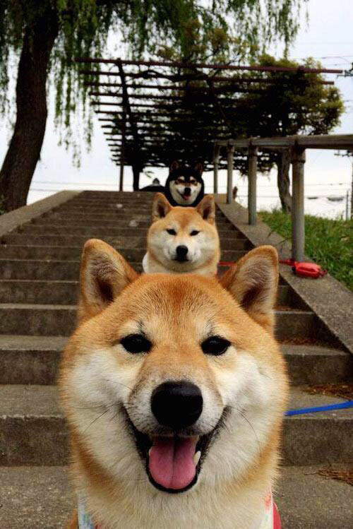 巴西强势拿下波兰，最大水货却是唯一关键先生