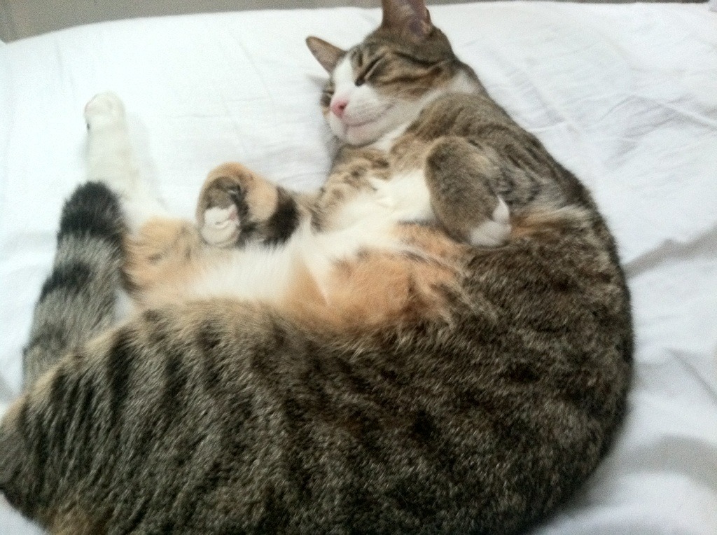 雷火电竞下载-个人英雄主义与团队铁壁，现代篮球的冰与火之歌