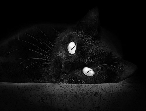 熄灭达拉斯星光!铁血古典派德罗赞用中距离写下冠军注脚