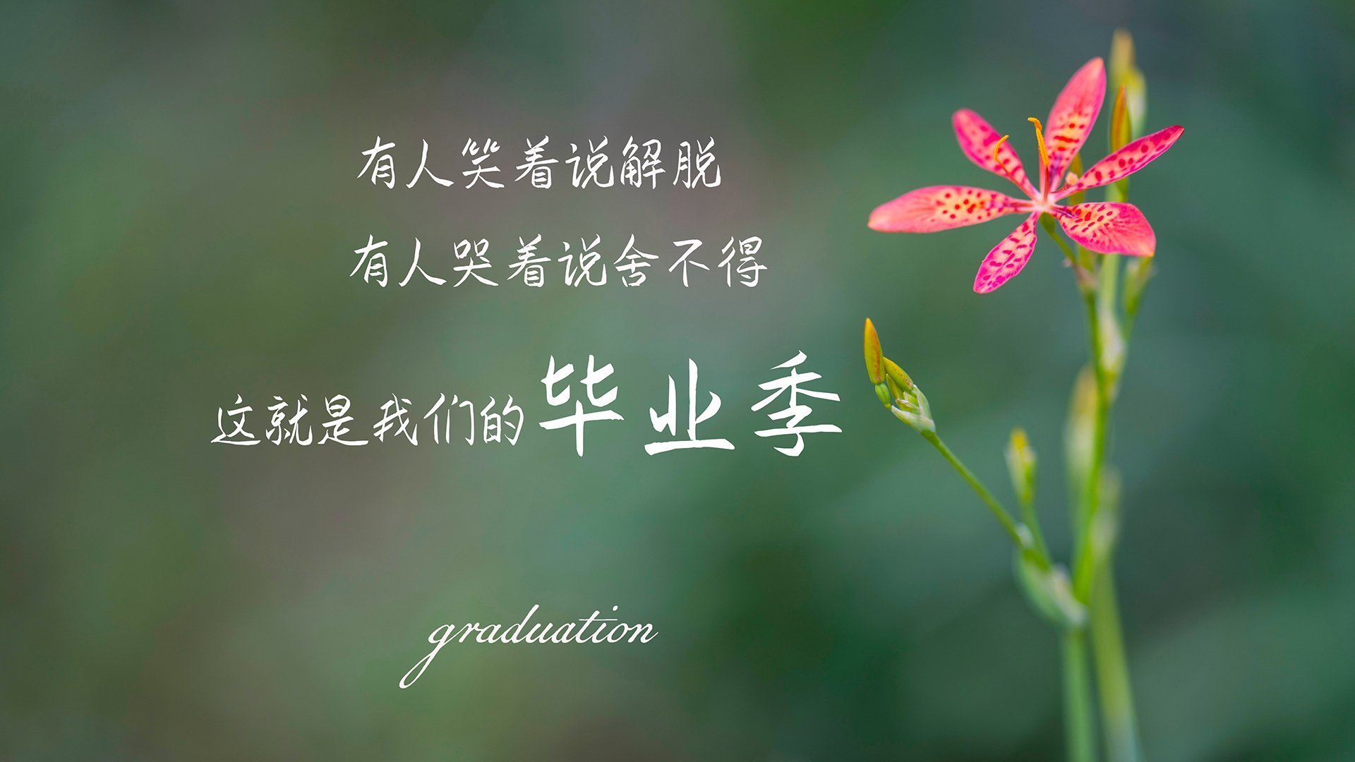 极速逆转，F1中国站年度争冠焦点战，上海队绝地反击力克开拓者
